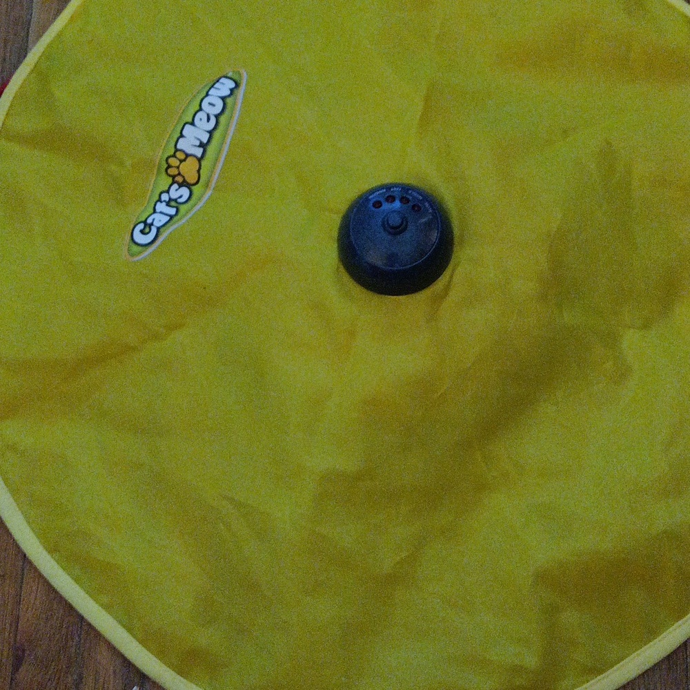 Cat toy